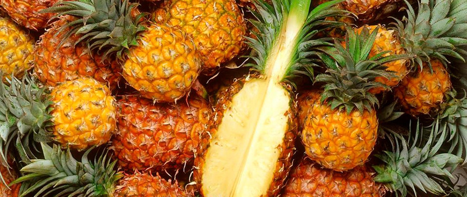 La piña panameña resalta en el mercado internacional - CRAFTOP-Tus ...